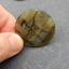 Natural Labradorite Earring Beads 36x3mm, 18g