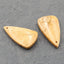 Natural Coconut Fossil Earring Beads 27x15x4mm, 4.8g