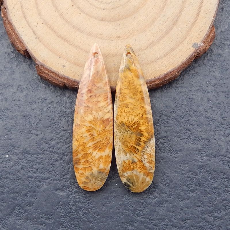 Paire de boucles d'oreilles en forme de larme de corail fossile indonésien naturel, pierre pour la fabrication de boucles d'oreilles, 40x10x5mm, 4.9g