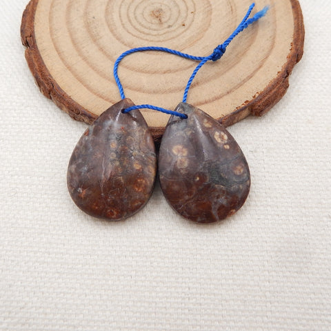 Natural Frog Eye Jasper Earring Beads 25x18x4mm, 5.4g