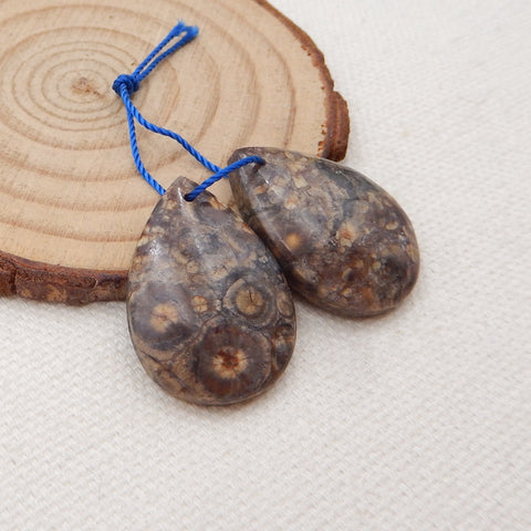 Natural Frog Eye Jasper Earring Beads 25x18x4mm, 5.4g