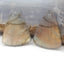 Natural Labradorite Earring Beads 25*21*5mm, 6.8g