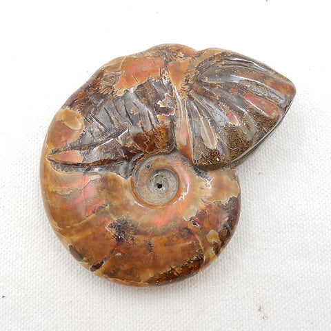 Natural Ammonite Fossil Carved elephant