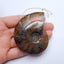 Natural Ammonite Fossil Pendant Bead 37*31*11mm, 18.1g