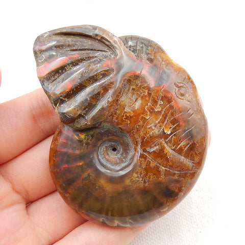 Natural Ammonite Fossil Carved elephant