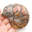 Natural Ammonite Fossil Carved chameleon