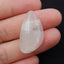 Natural Moon stone Gemstone Cabochon, 27x15x6mm, 3.4g - MyGemGarden