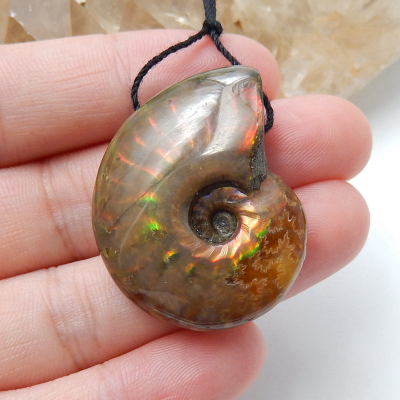 Natural Ammonite Fossil Pendant Bead 31x26x11mm, 12.7g