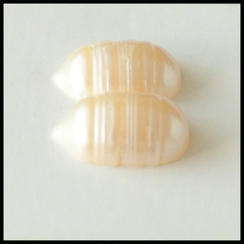 SALE Shell Gemstone Cabochon Pair, 14x9x5mm, 2.08g - MyGemGarden