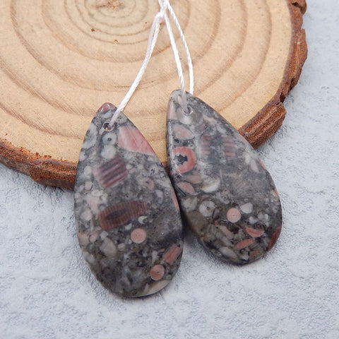 Paire de Boucles d'Oreilles en Forme de Larme Fossile Crinoïde Naturel, 28x15x3mm, 4.7g