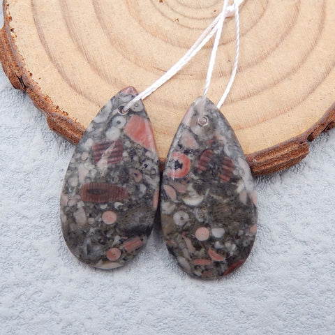 Paire de Boucles d'Oreilles en Forme de Larme Fossile Crinoïde Naturel, 28x15x3mm, 4.7g