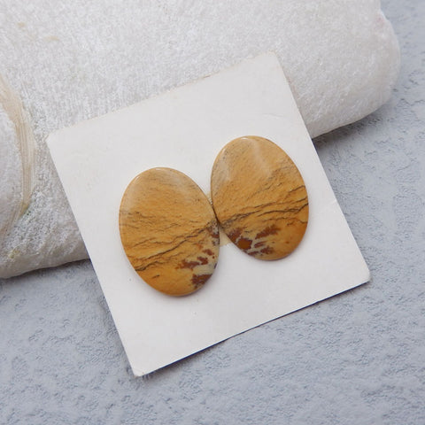 Natural Picture Jasper Cabochons Paired 20x15x3mm, 3.1g