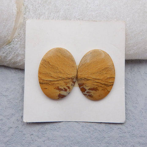 Natural Picture Jasper Cabochons Paired 20x15x3mm, 3.1g