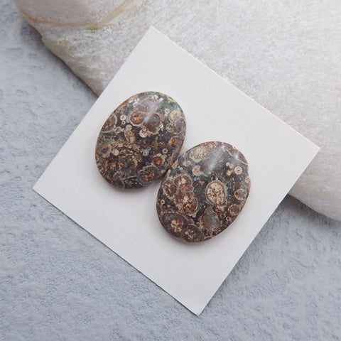 Natural Mushroom Jasper Cabochons Paired 20x15x5mm, 4.8g