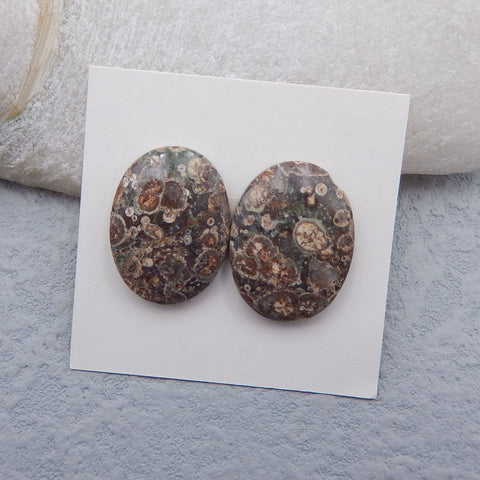 Natural Mushroom Jasper Cabochons Paired 20x15x5mm, 4.8g