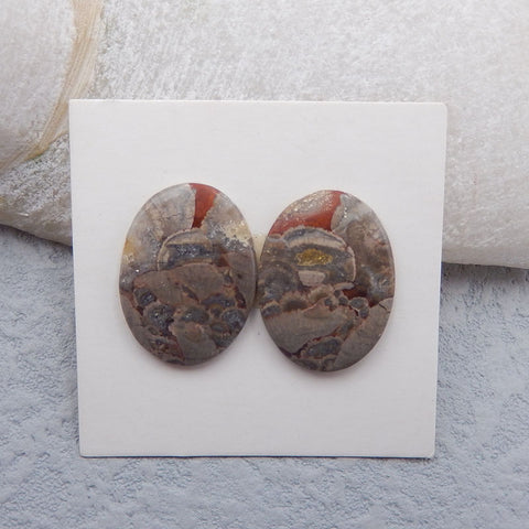 Cadeau de la paire de cabochons de jaspe champignon naturel 20x14x3mm, 3.1g