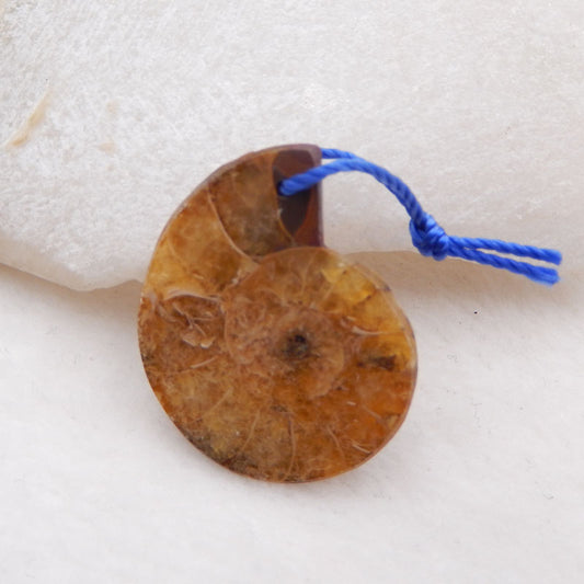 Natural Ammonite Fossil Pendant Bead 27x23x6mm, 4.5g