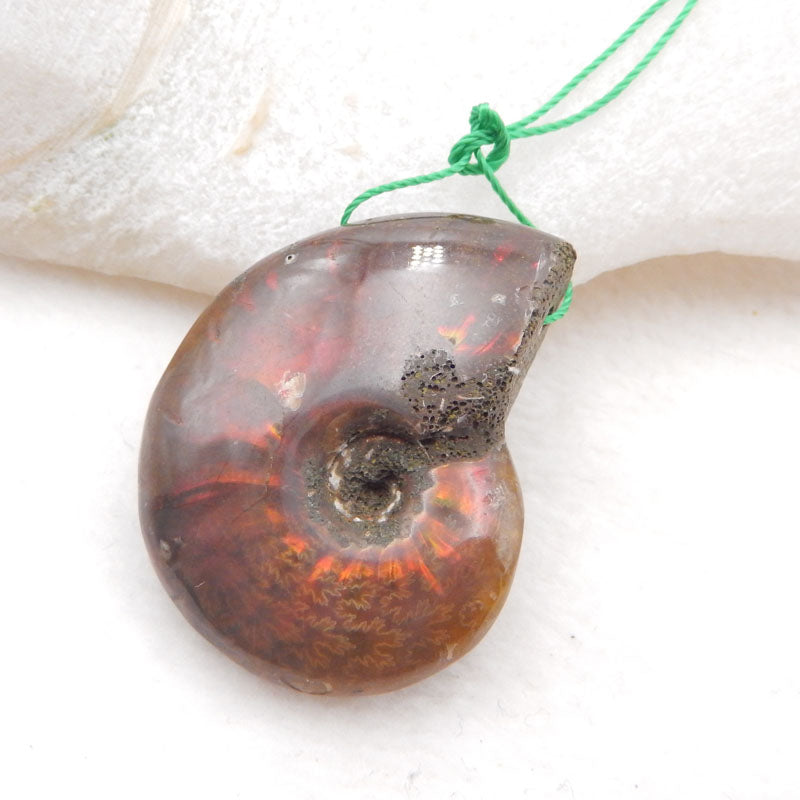 Natural Ammonite Fossil Pendant Bead 35x27x10mm, 11.2g