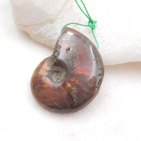 Perle pendentif en pierre précieuse fossile d'ammonite naturelle, 35x27x10mm, 11.2g