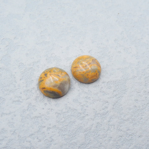 Nouvelle paire de cabochons de pierres précieuses de jaspe jaune, 12 x 5 mm, 2,6 g