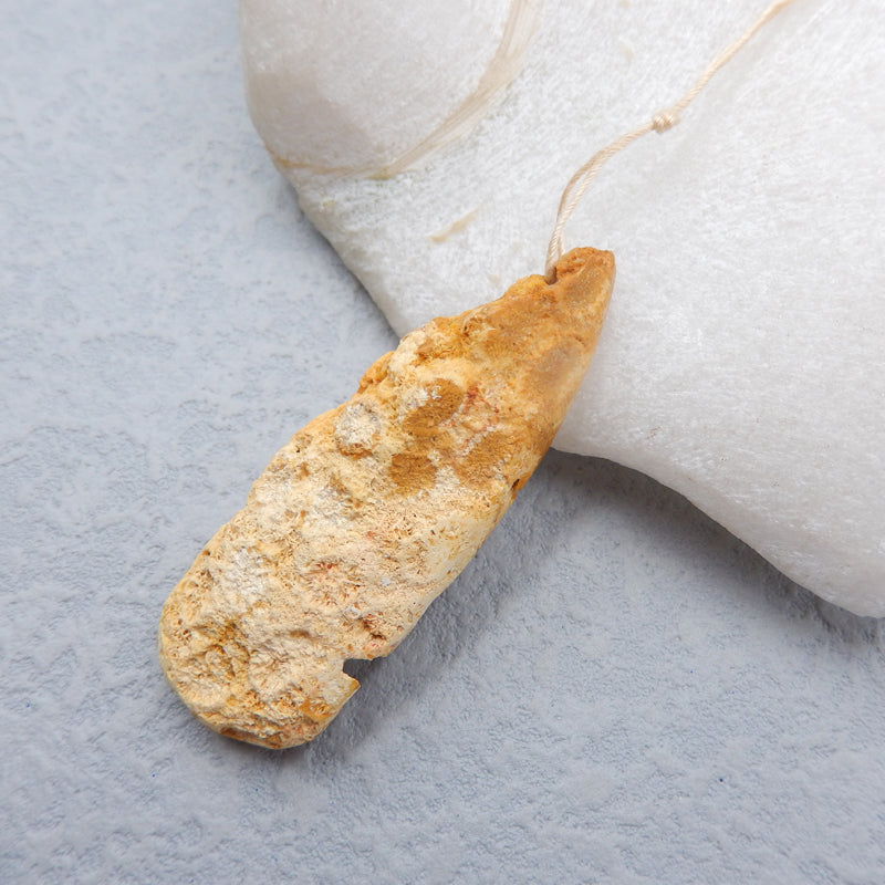 Perle de pendentifs en corail fossile indonésien Nugget, 58 x 21 x 11 mm, 16,5 g