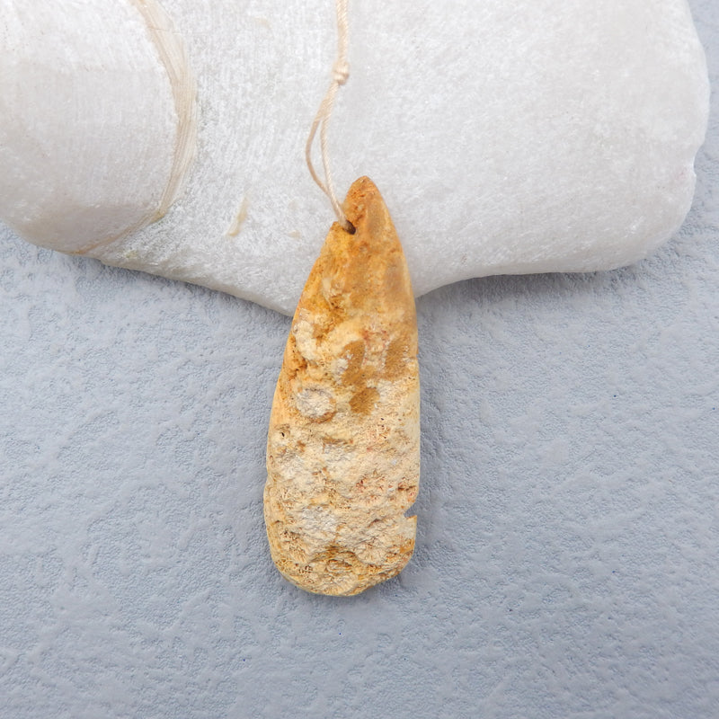 Perle de pendentifs en corail fossile indonésien Nugget, 58 x 21 x 11 mm, 16,5 g