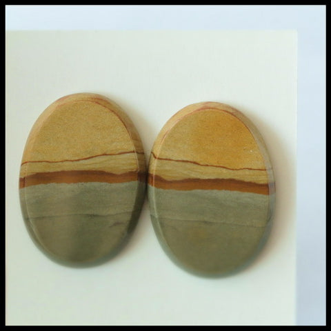 Natural US Biggs Picture Jasper Gemstone Cabochon Pair 23x17x3mm,5.2g - MyGemGarden