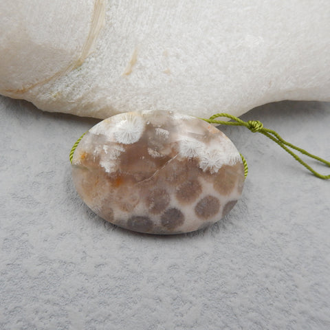 Natural Indonesian Fossil Coral Pendant Bead 35x25x8mm, 11g