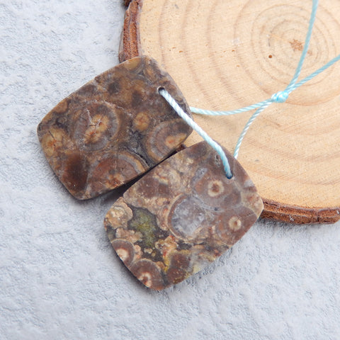 Natural Mushroom Jasper Earring Beads 25x17x5mm, 7.9g