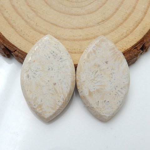 Natural Indonesian Fossil Coral Marquise Gemstone Cabochon Pair, 25x16x4mm, 5g - MyGemGarden