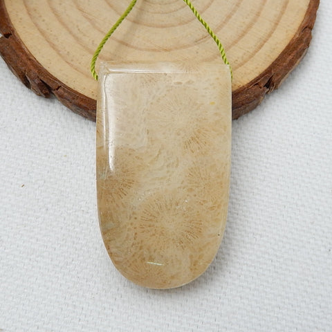 Natural Indonesian Fossil Coral Drilled Gemstone Pendant Bead, 39x24x10mm, 17.8g - MyGemGarden