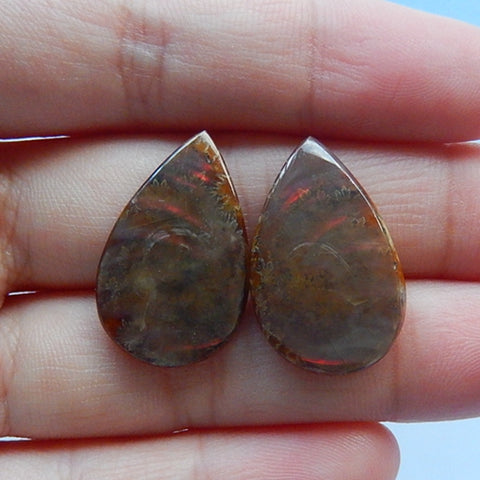 Natural Waterdrop Ammonite Fossil Cabochon Pairs 24x15x4mm 4.6g - MyGemGarden