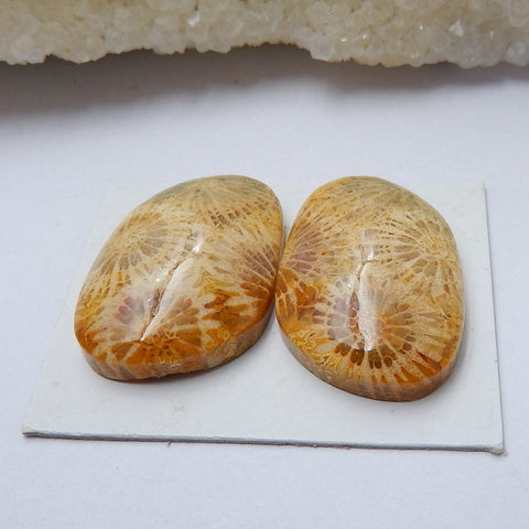 Natural Indonesian Fossil Coral Gemstone Cabochon pair, 23x16x6mm, 7.4g - MyGemGarden