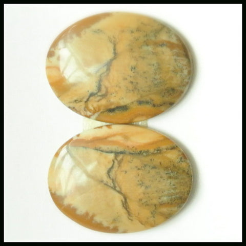 Natural US Biggs Picture Jasper Gemstone Cabochon Pair 20x15x3mm,3.6g - MyGemGarden