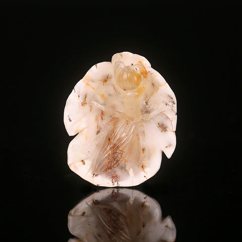 New Arrival Red Agate Carved insects Pendant Bead, 46x39x13mm, 18.1g - MyGemGarden