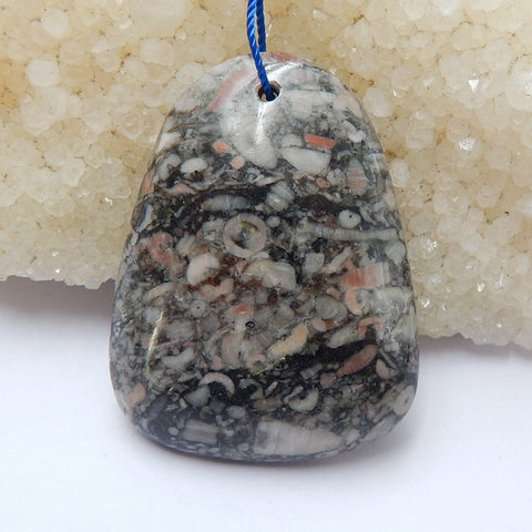 Natural Crinoid Fossil Gemstone Pendant Bead, Gemstone Focal Pendant, 43x33x8mm, 18.3g - MyGemGarden