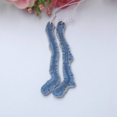 Natural Blue Coral Earrings Pair 55x7x3mm3.1g - MyGemGarden