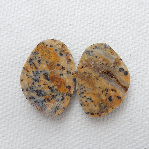 Natural petrified wood opal Gemstone Cabochon Pair, 20x14x5mm, 3.4g - MyGemGarden