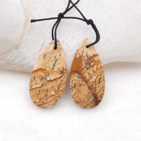 Natural Picture Jasper Earring Beads 30x15X3mm, 5.5g