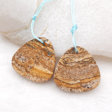 Natural Picture Jasper Earring Beads 24x23x3mm, 7.3g