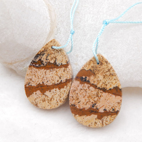 Natural Picture Jasper Earring Beads 30x21x3mm, 8.3g