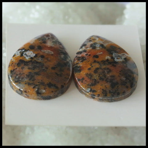 Natural Petrified Wood  Gemstone Cabochon Pair, 25x18x5mm, 7.3g - MyGemGarden