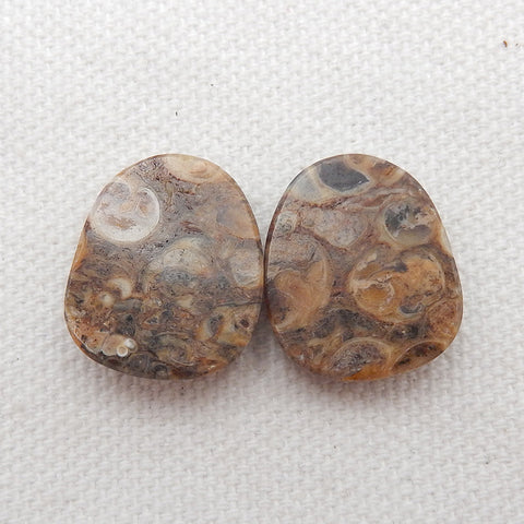 Natural Ammonite Fossil Cabochon Pair, 18x15x5mm, 4.5g