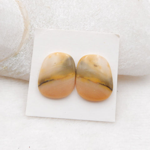 Paire de cabochons Us Biggs Jasper Gemstone, 21X16X4mm, 5.2g