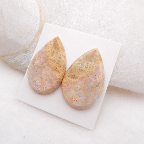 Paire de cabochons de pierres précieuses de corail fossile indonésien naturel, 28 x 18 x 3 mm, 6,4 g