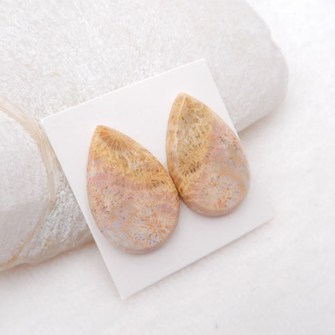 Paire de cabochons de pierres précieuses de corail fossile indonésien naturel, 28 x 18 x 3 mm, 6,4 g