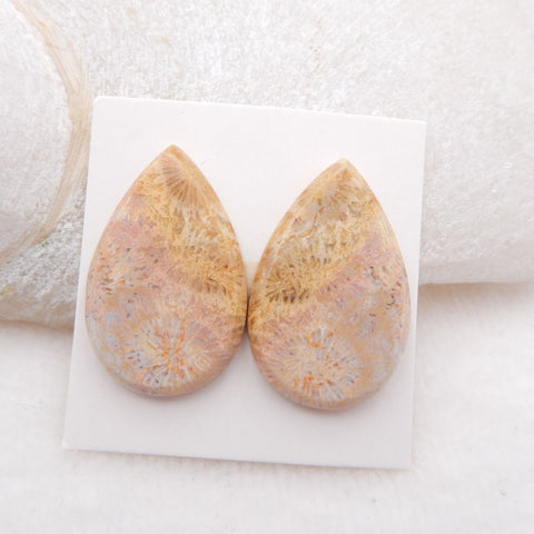 Paire de cabochons de pierres précieuses de corail fossile indonésien naturel, 28 x 18 x 3 mm, 6,4 g