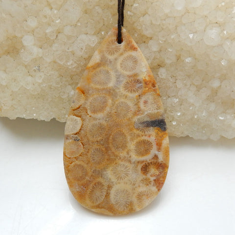 Indonesian Fossil Coral Teardrop Gemstone Pendant, Natural Stone, 52x29x7mm, 12.7g - MyGemGarden