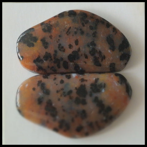 Natural Petrified Wood  Gemstone Cabochon Pair, 31x17x5 mm,8.5g - MyGemGarden