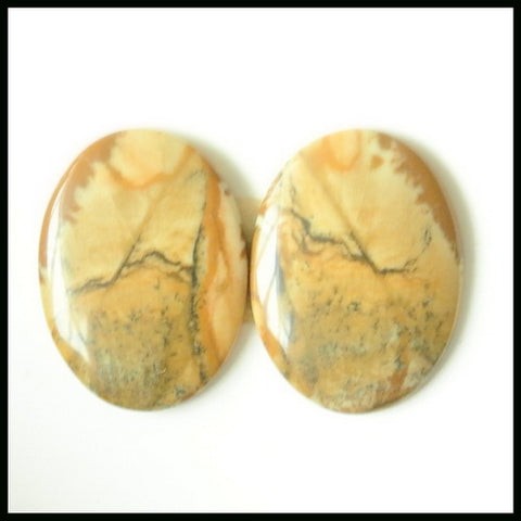 Natural US Biggs Picture Jasper Gemstone Cabochon Pair 20x15x3mm,3.6g - MyGemGarden